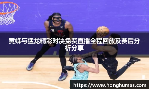 球速体育官网