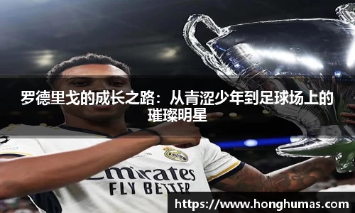 球速体育官网